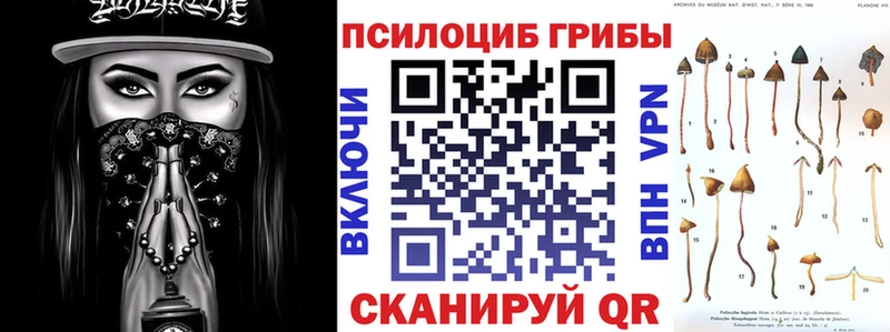 Псилоцибиновые грибы Magic Shrooms  Пенза 