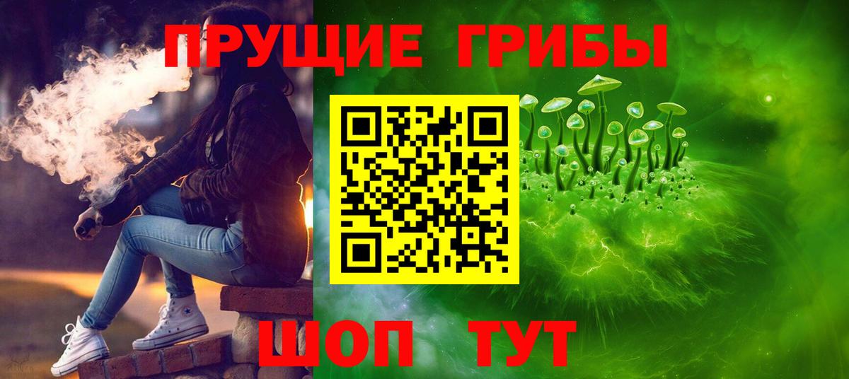 Галлюциногенные грибы Psilocybine cubensis  Галлюциногенные грибы Cubensis  Пенза  Вход с VPN 