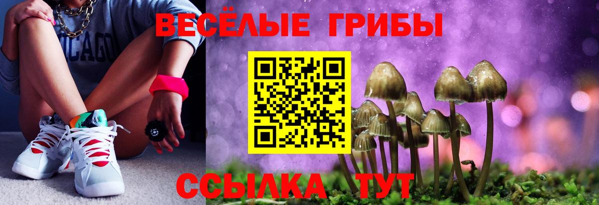 Галлюциногенные грибы мухоморы Пенза